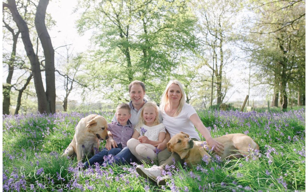 Otley Family Photo Shoot | Bluebells